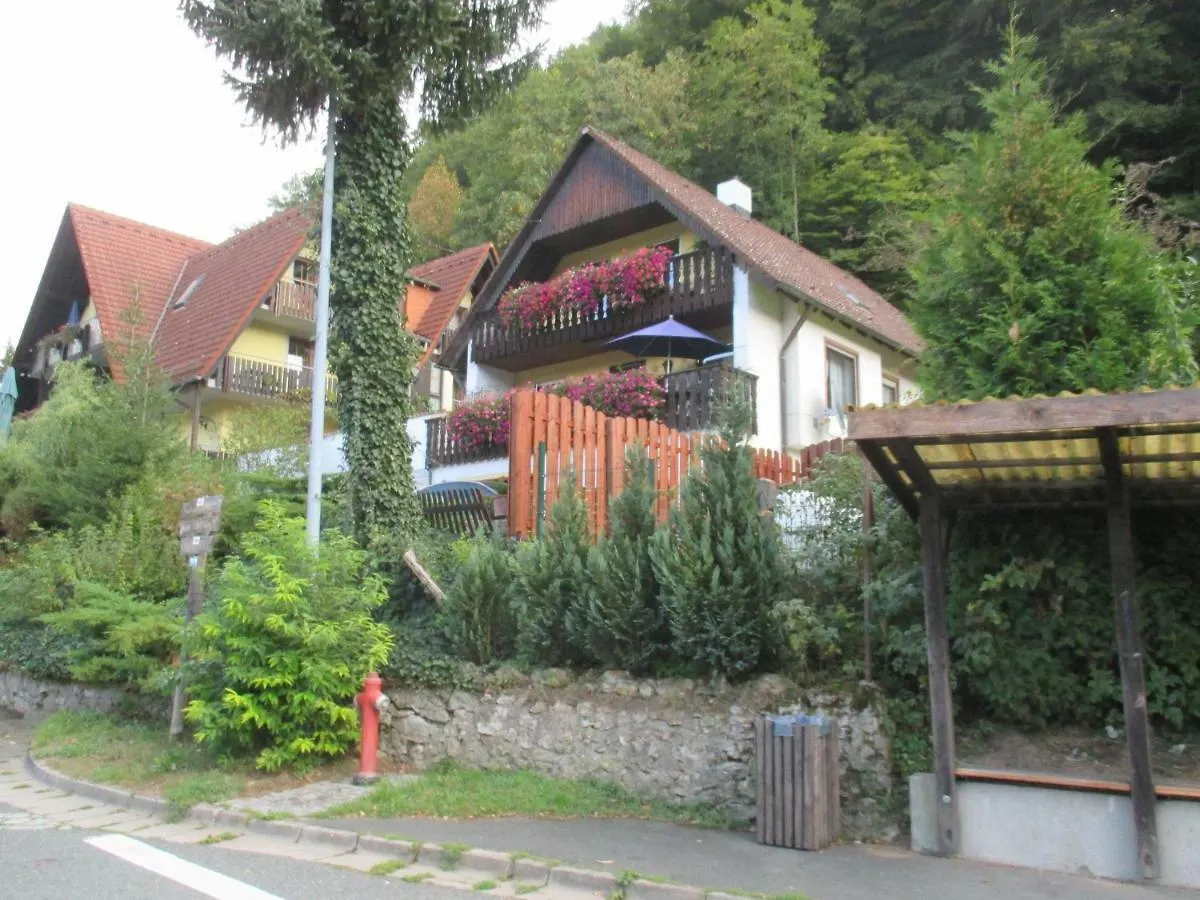 Apartments In Behringersmuehle Гёсвайнштайн